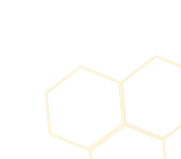 bg lines